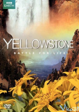 Cuộc Chiến Sinh Tồn - Bbc: Yellowstone - Battle For Life