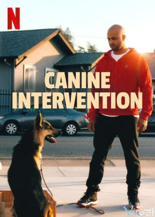 Cali K9: Trường Huấn Khuyển - Canine Intervention
