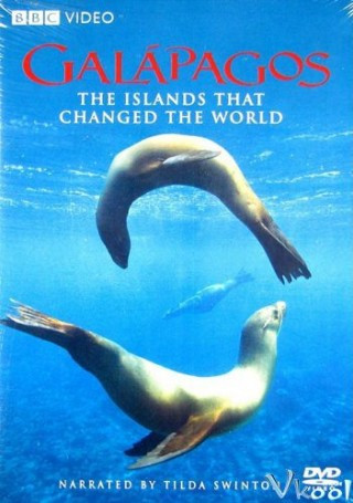 Quần Đảo Galapagos - Bbc: Galapagos
