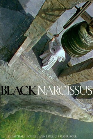 Thuỷ Tiên Đen - Black Narcissus