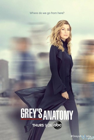 Ca Phẫu Thuật Của Grey 16 - Grey's Anatomy Season 16