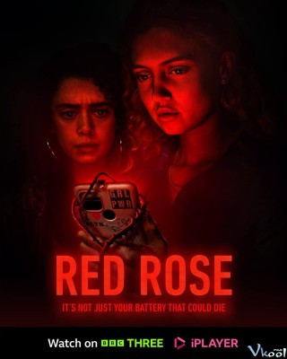 Hoa Hồng Đỏ - Red Rose
