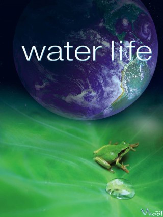 Nước Của Cuộc Sống - Water Life