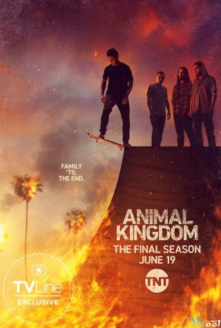 Vương Quốc Động Vật 6 - Animal Kingdom Season 6