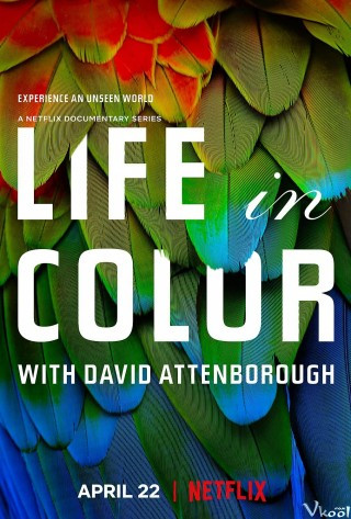 David Attenborough: Sự Sống Đầy Màu Sắc - Life In Colour With David Attenborough