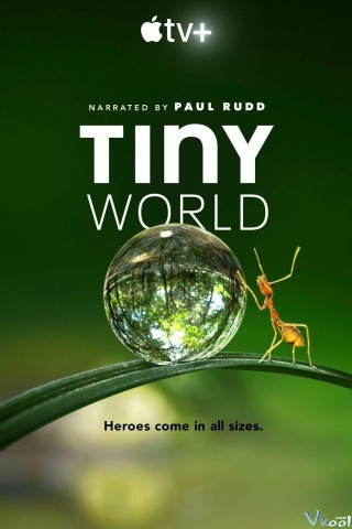 Thế Giới Tí Hon Phần 1 - Tiny World Season 1