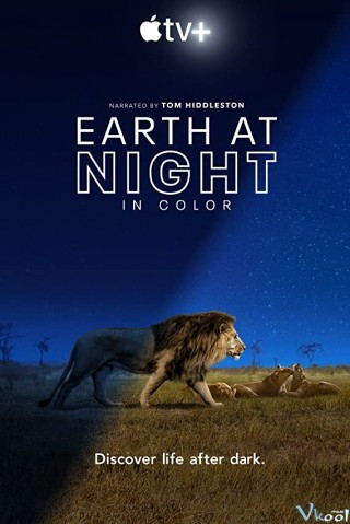 Sắc Màu Trái Đất Về Đêm - Earth At Night In Color