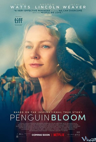 Cánh Cụt Nhà Bloom - Penguin Bloom