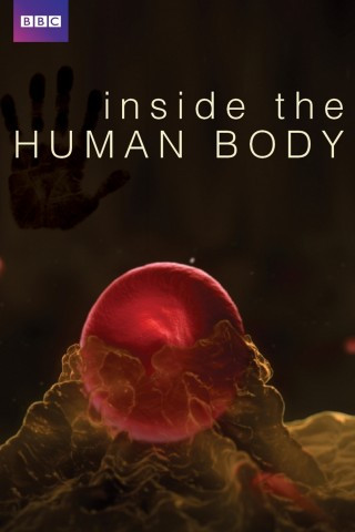 Bên Trong Cơ Thể Con Người - Bbc: Inside The Human Body