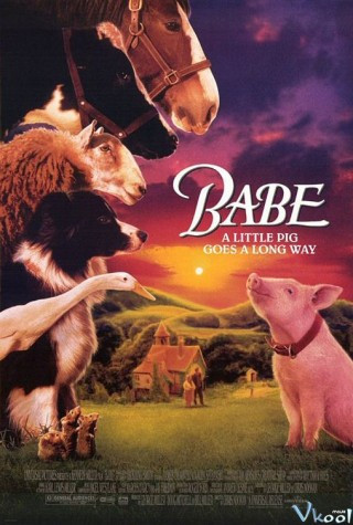 Chú Lợn Babe - Babe