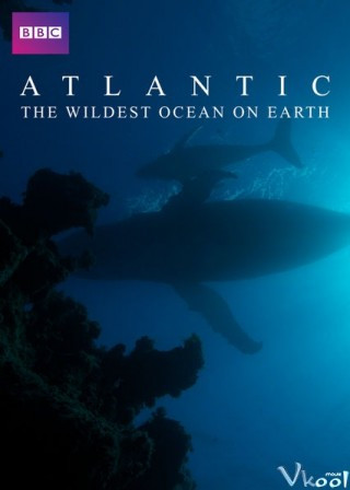 Đại Tây Dương: Đại Dương Hoang Dã Nhất - Atlantic: The Wildest Ocean On Earth