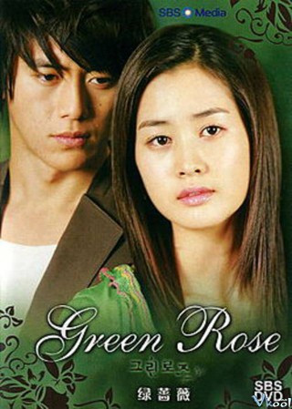 Hoa Hồng Xanh - Green Rose