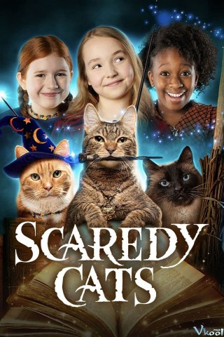 Mèo Nhát - Scaredy Cats