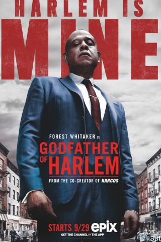 Bố Già Vùng Harlem Phần 1 - Godfather Of Harlem Season 1