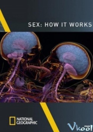 Sex Là Gì? - National Geographic – Sex How It Works