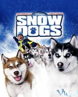 Chó Trắng - Bầy Chó Tuyết - Snow Dogs