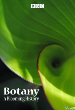 Thế Giới Thực Vật - Bbc - Botany: A Blooming History
