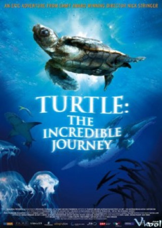 Hành Trình Vĩ Đại Của Loài Rùa - Turtle: The Incredible Journey