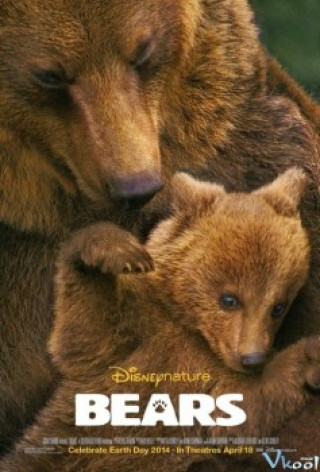 Khám Phá Cuộc Sống Nhà Gấu - Bears