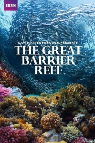 Khám Phá Rạn San Hô Vĩ Đại Với David Attenborough - Bbc: Great Barrier Reef With David Attenborough