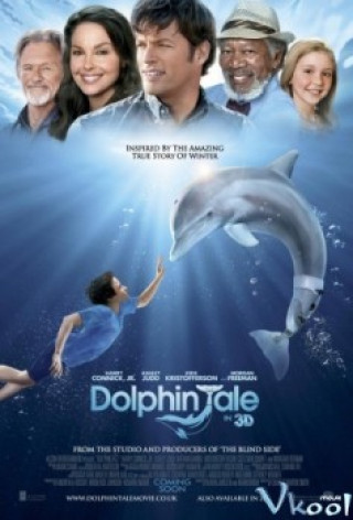 Dolphin Tale - Dolphin Tale