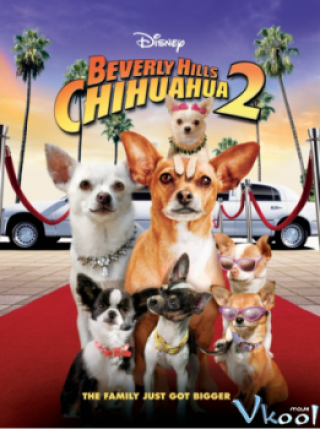 Beverly Hills Chi Hua Hua 2 - Beverly Hills Chihuahua 2