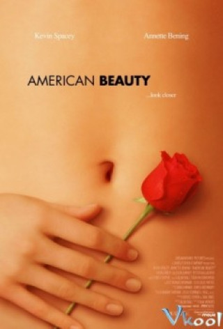 Vẻ Đẹp Kiểu Mỹ - American Beauty