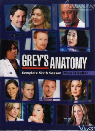 Ca Phẫu Thuật Của Grey 6 - Grey's Anatomy Season 6