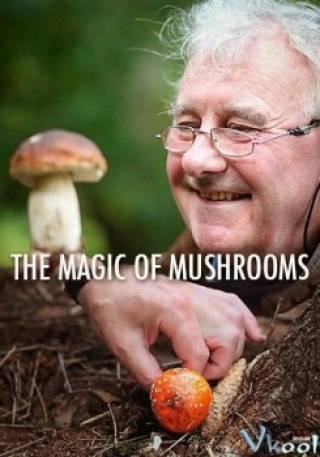 Sự Kỳ Diệu Của Nấm - Bbc The Magic Of Mushrooms