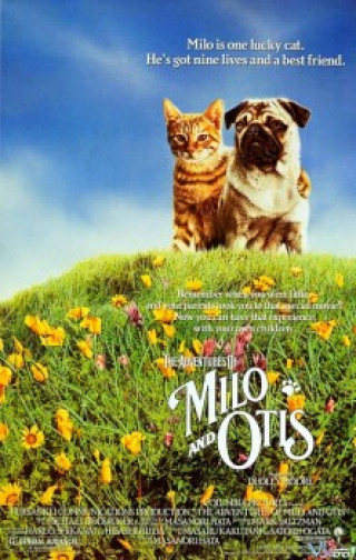 Cuộc Phiêu Lưu Của Chó Và Mèo - The Adventures Of Milo And Otis