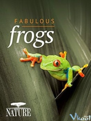 Thế Giới Loài Ếch - Bbc Natural World - Attenborough's Fabulous Frogs