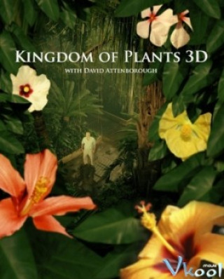 Vương Quốc Thực Vật - Kingdom Of Plants 3d
