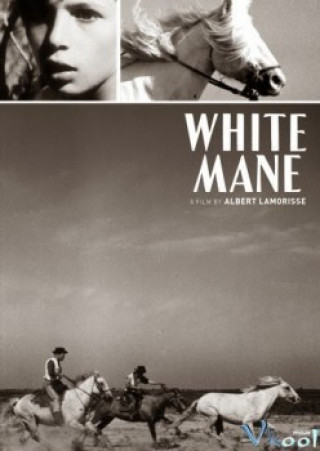Bờm Trắng (chú Ngựa Hoang) - White Mane