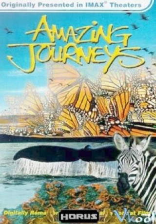 Hành Trình Kinh Ngạc - Amazing Journeys