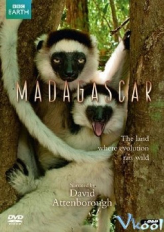Quần Đảo Madagascar - Madagascar