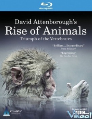 Sự Tiến Hóa Của Động Vật - Rise Of Animals: Triumph Of The Vertebrates