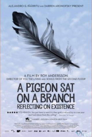 Chim Bồ Câu Trên Cành Suy Nghĩ Về Sự Tồn Tại - A Pigeon Sat On A Branch Reflecting On Existence