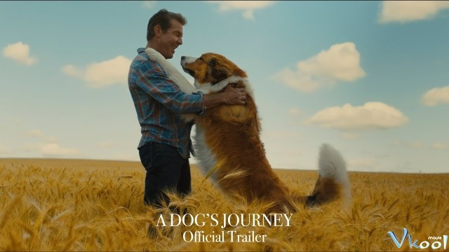 Xem Phim Hành Trình Của Chú Chó Bailey - A Dog's Journey - Vkool.Net - Ảnh 3