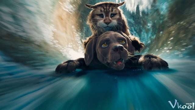Xem Phim Mèo Và Chó - Cat & Dog - Vkool.Net - Ảnh 3