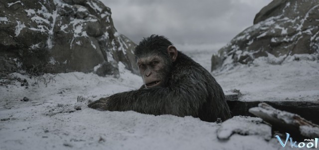 Xem Phim Đại Chiến Hành Tinh Khỉ - War For The Planet Of The Apes - Vkool.Net - Ảnh 3